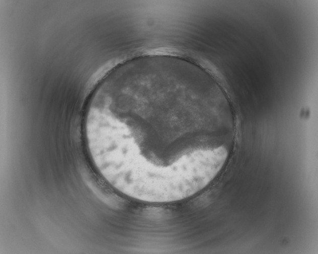 X0000111800298200909031235