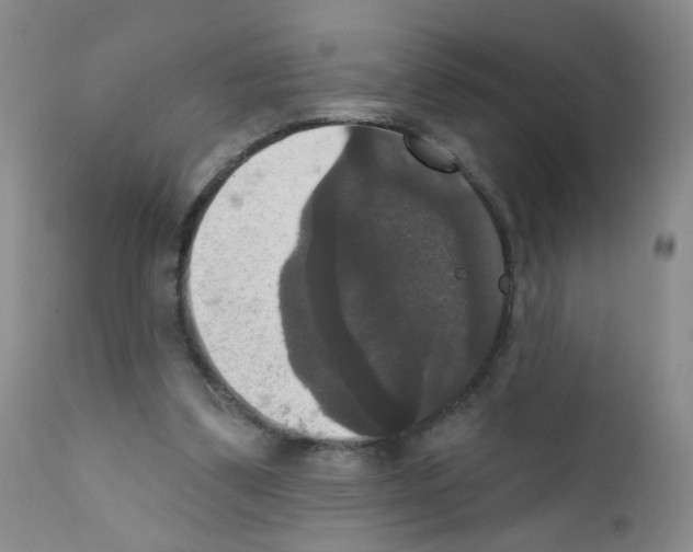 X0000111800299200909031235