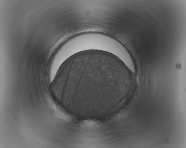 X0000111800300200909031235