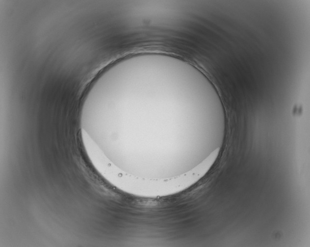 X0000111800301200909031235