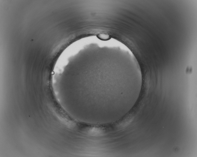 X0000111800303200909031235