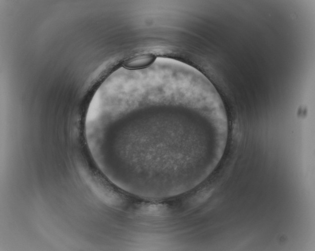 X0000111800304200909031235