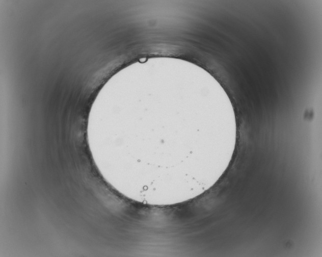 X0000111800305200909031235