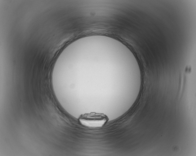 X0000111800308200909031235