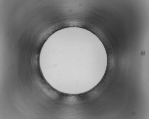 X0000111800310200909031235