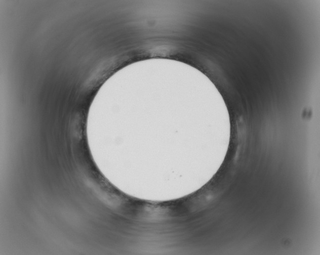 X0000111800311200909031235