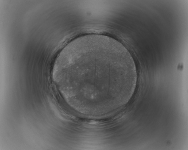 X0000111800312200909031235