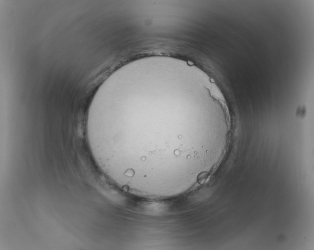 X0000111800313200909031235