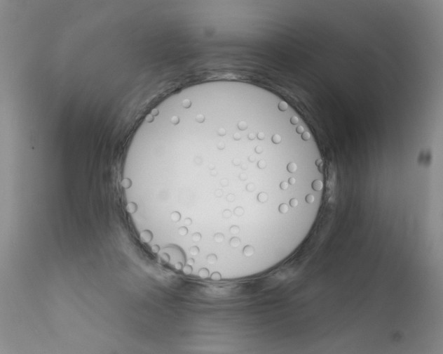 X0000111800314200909031235