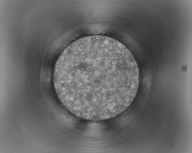 X0000111800315200909031235