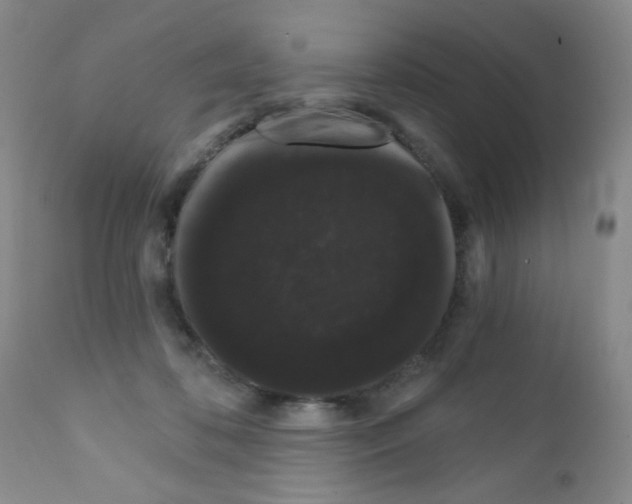 X0000111800316200909031235