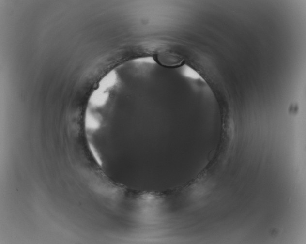 X0000111800319200909031235