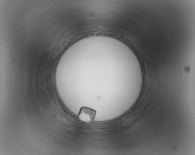 X0000111800320200909031235