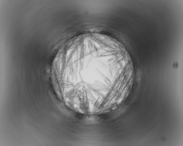 X0000111800321200909031235