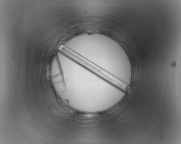 X0000111800323200909031235
