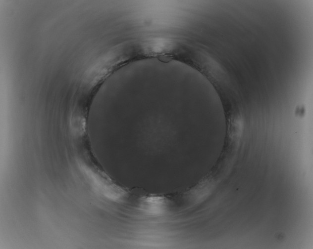 X0000111800324200909031235