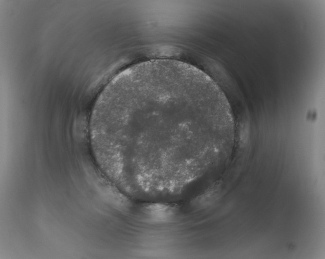 X0000111800326200909031235