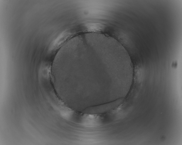 X0000111800329200909031235