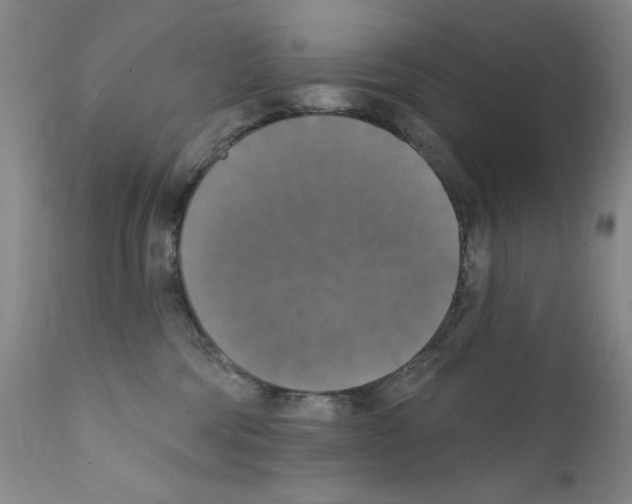 X0000111800330200909031235