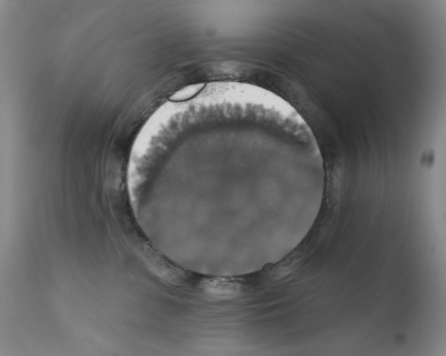X0000111800331200909031235