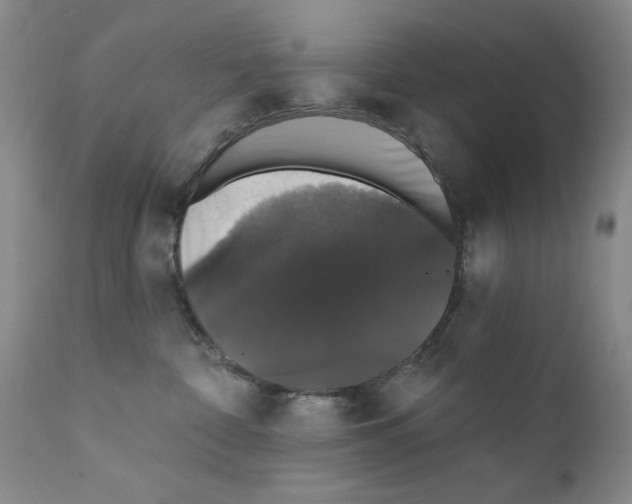 X0000111800332200909031235