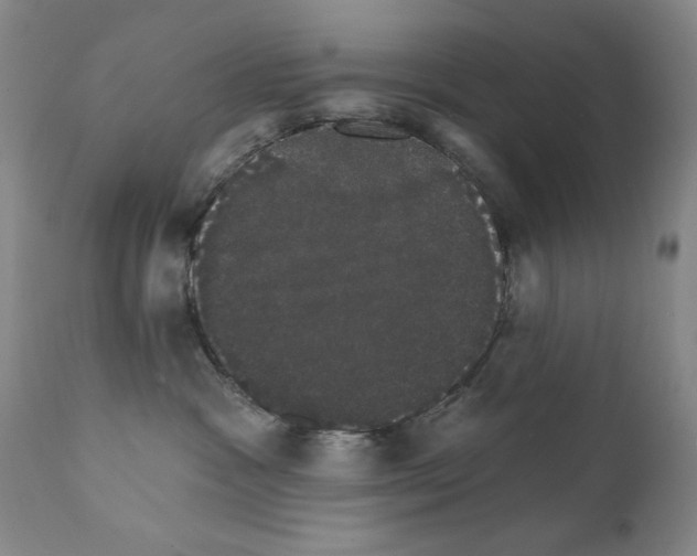 X0000111800333200909031235