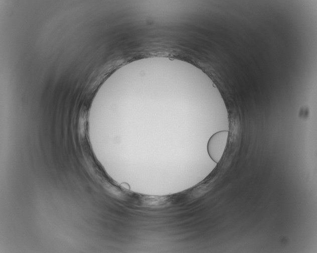 X0000111800334200909031235