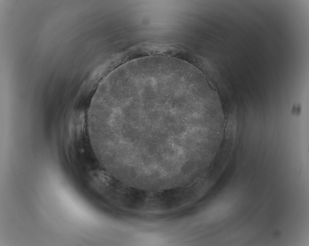 X0000111800335200909031235