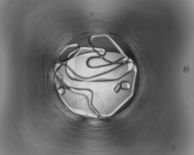 X0000111800336200909031235