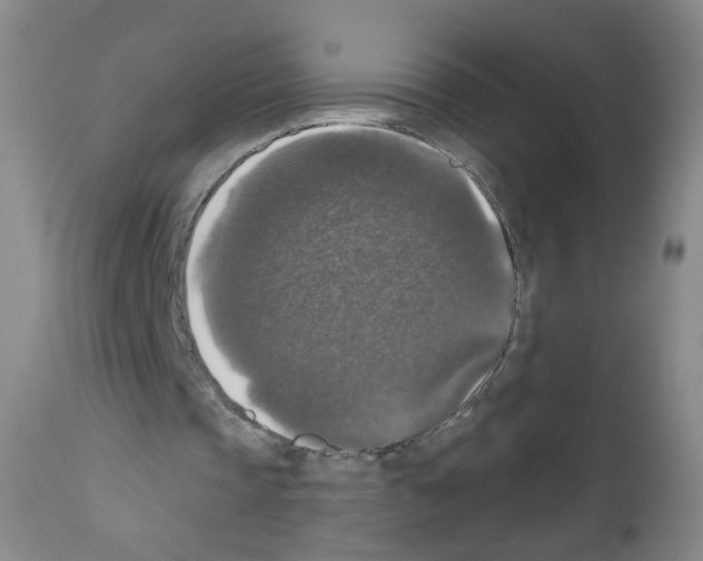 X0000111800337200909031234