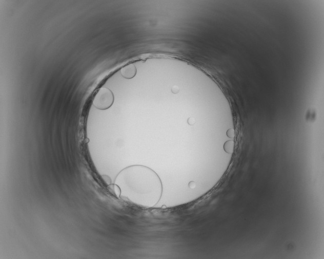 X0000111800338200909031234