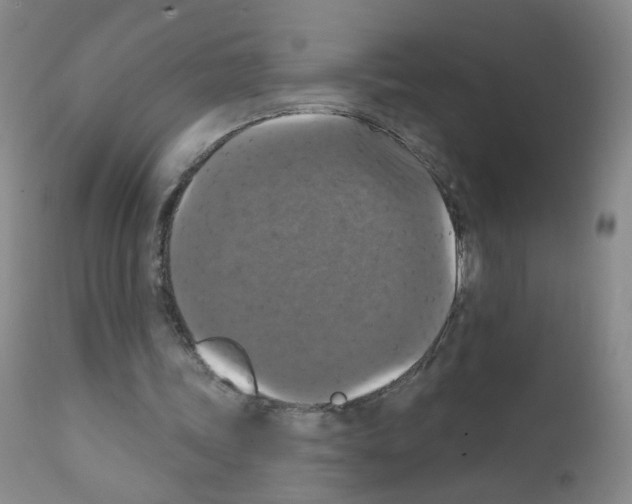 X0000111800339200909031234