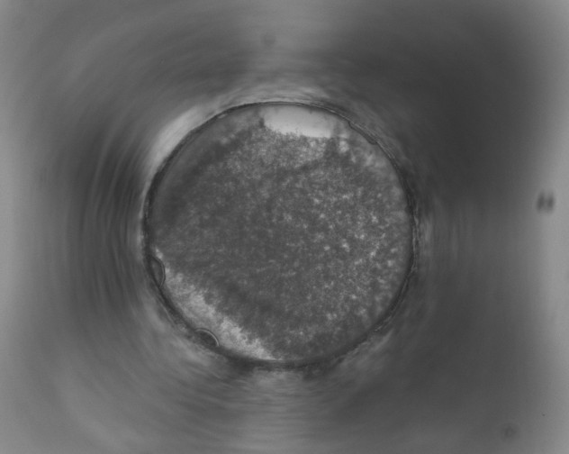 X0000111800340200909031234