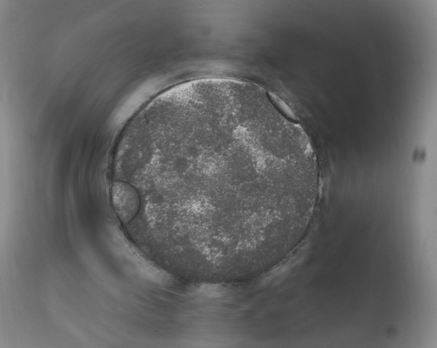 X0000111800341200909031234