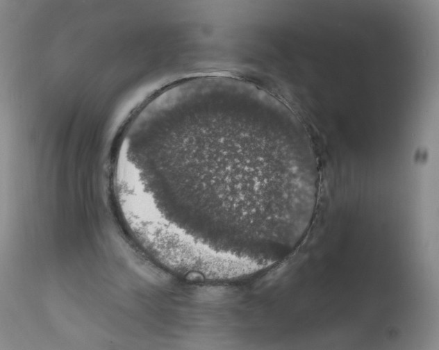 X0000111800342200909031234