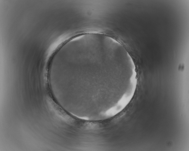 X0000111800343200909031234