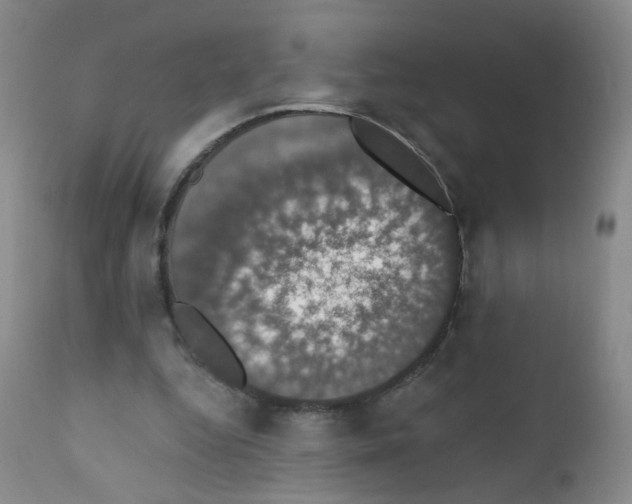 X0000111800344200909031234