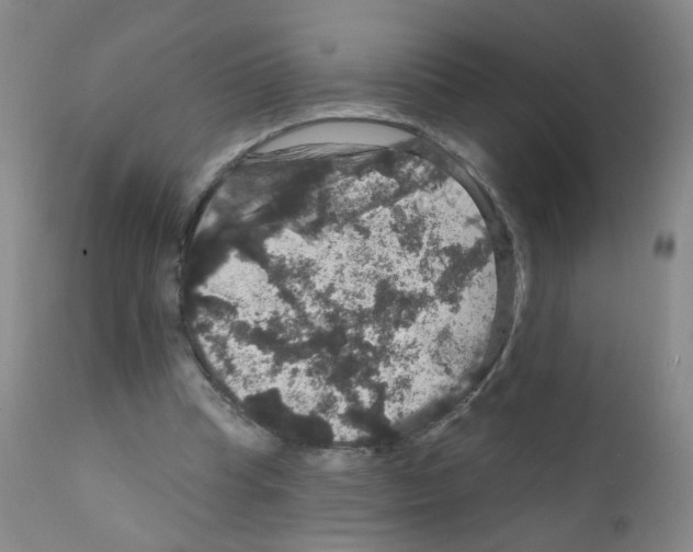 X0000111800345200909031234