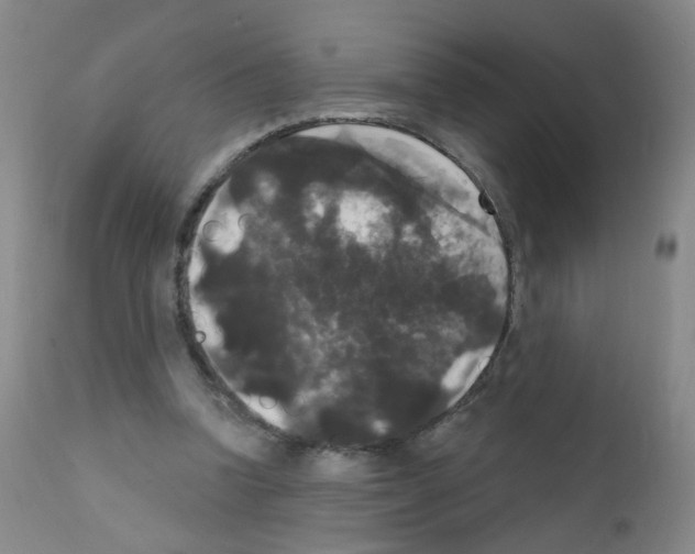X0000111800346200909031234