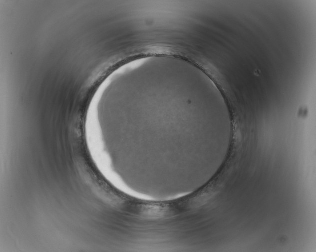 X0000111800347200909031234