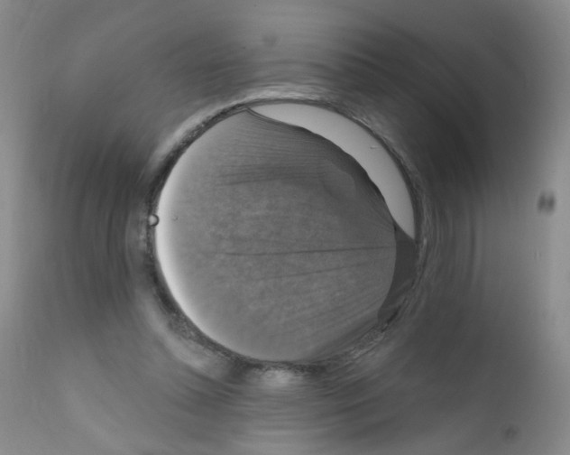 X0000111800348200909031234