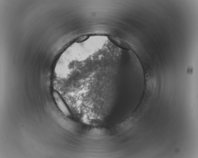 X0000111800350200909031234