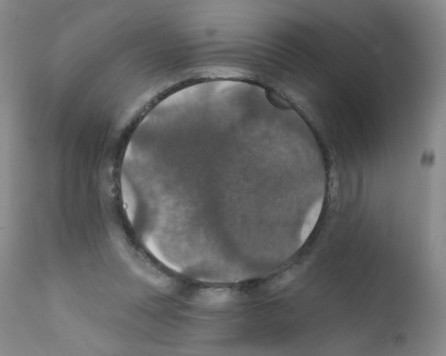 X0000111800351200909031234