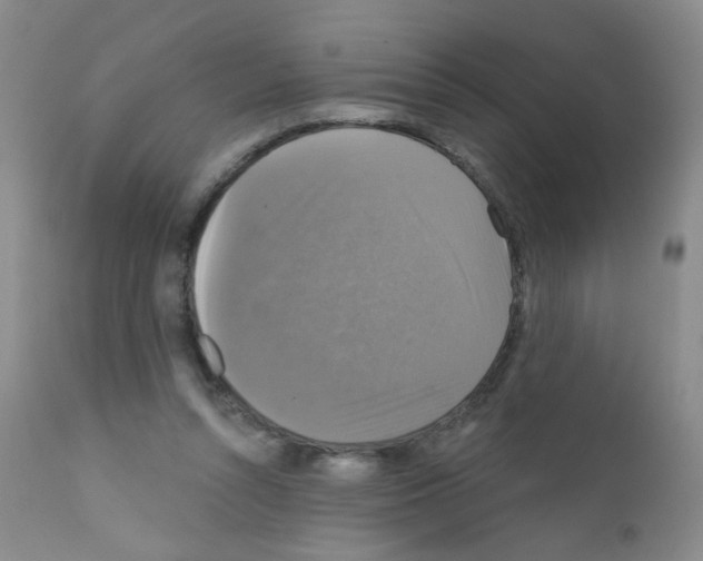 X0000111800352200909031234