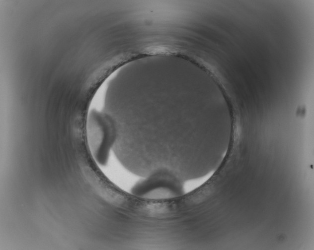 X0000111800353200909031234