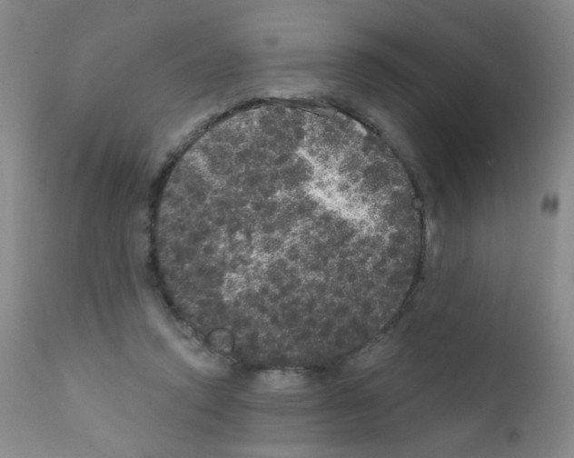 X0000111800354200909031234