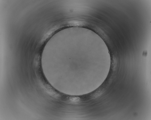 X0000111800355200909031234