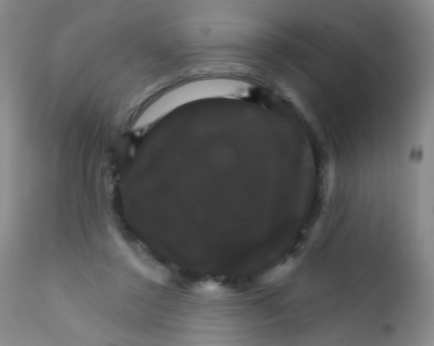 X0000111800356200909031234