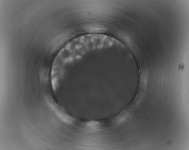 X0000111800357200909031234