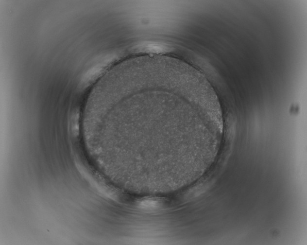 X0000111800358200909031234